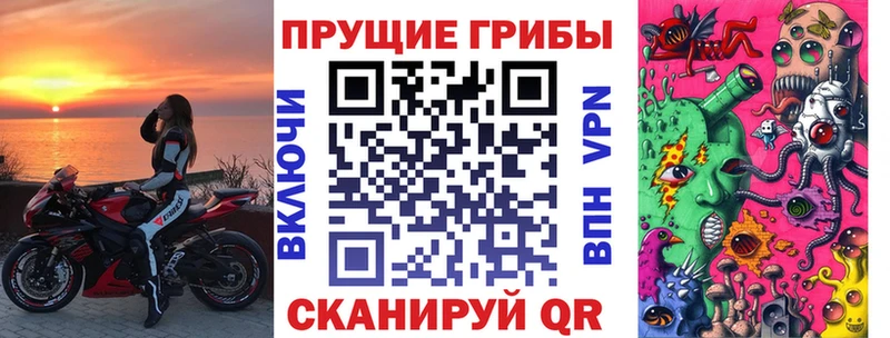 Псилоцибиновые грибы GOLDEN TEACHER  darknet клад  Обнинск  сколько стоит 
